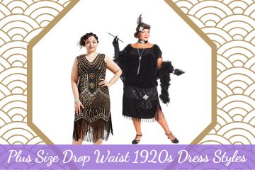 plus size drop waist 1920s dress