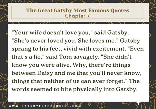 The Great Gatsby Most Famous Quotes Chapter 7